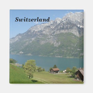 Die Schweiz - Magnet