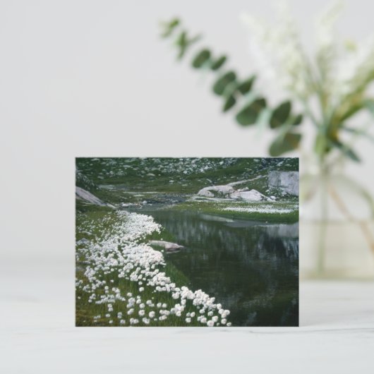 DIE SCHWEIZ POSTKARTE (Stehend Vorderseite)