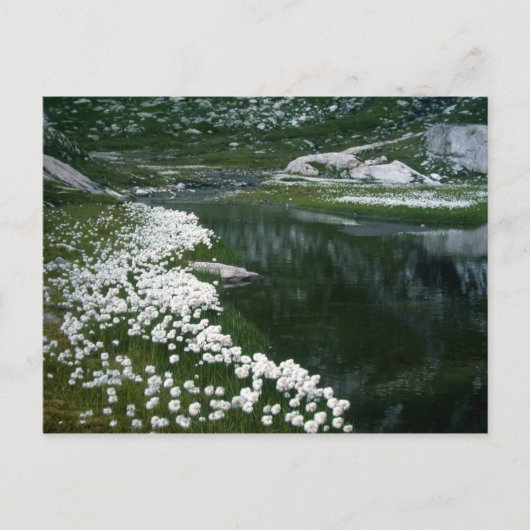 DIE SCHWEIZ POSTKARTE (Vorderseite)