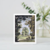 Die Schwesternbäume, Kew Gardens, Teller 8 von "Ke Postkarte (Stehend Vorderseite)