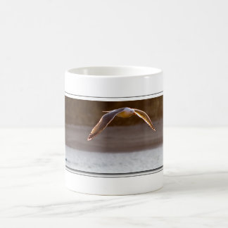 Die Seemöwe durch Café-Projektionen Kaffeetasse