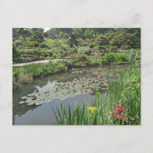 Die Seerosenteich Postkarte im RHS Wisley