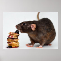 Die sehr hungrige Ratte