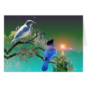 Die selben und unterschiedlich