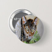 Die seltsame Akrylkutsche Button (Vorne & Hinten)