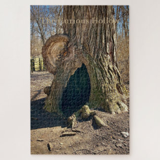 Die seltsame Senke Puzzle