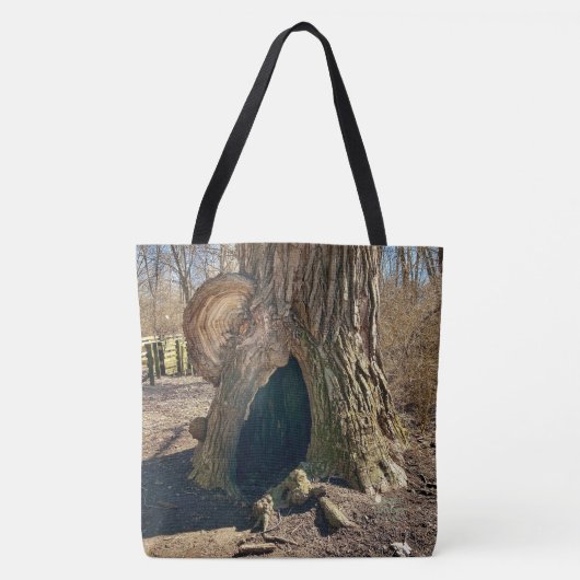 Die seltsame Senke Tasche (Vorderseite)