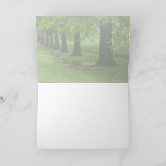 Die Sentinels Karte (Innenseite)