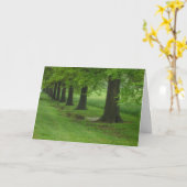 Die Sentinels Karte (Gelbe Blume)