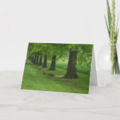 Die Sentinels Karte (Vorderseite)