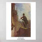 Die Serenade von Carl Spitzweg Poster (Vorne)