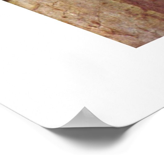 Die Serenade von Carl Spitzweg Poster (Ecke)