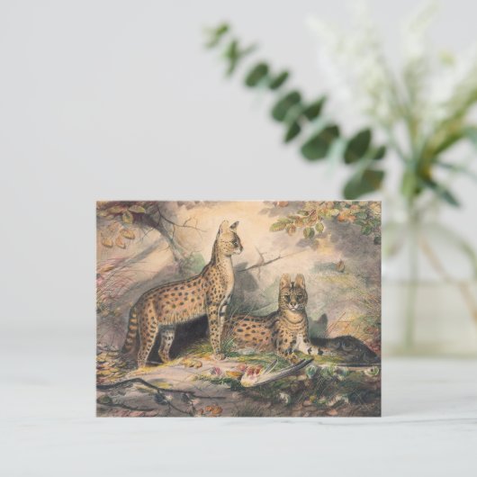 Die Serval von Joseph Wolf Postkarte (Stehend Vorderseite)