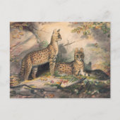 Die Serval von Joseph Wolf Postkarte (Vorderseite)
