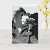 Die "Shaman-Grußkarte" Karte (Gelbe Blume)