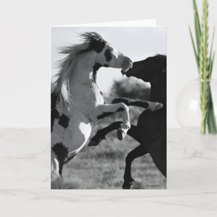 Die "Shaman-Grußkarte" Karte