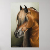 Die Sharade Poster (Vorne)