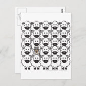 Die Sheltie im Schafe Postkarte (Vorne/Hinten)