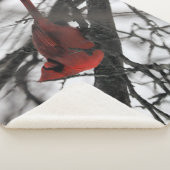 Die Sherpadecke (3/4)