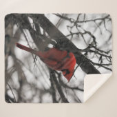 Die Sherpadecke (Vorderseite (Horizontal))