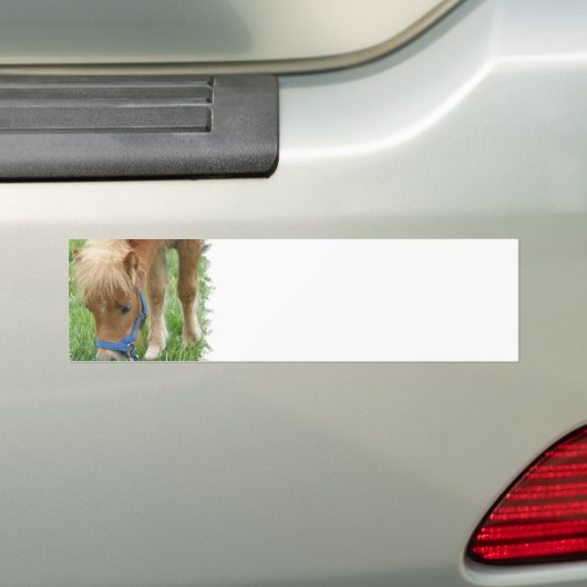Die Shetlandinseln-Pony-Autoaufkleber Autoaufkleber (Auf Auto)