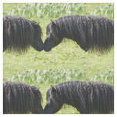 Die Shetlandinseln-Pony Stuten- und Stoff (Nahaufnahme)