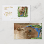 Die Shetlandinseln-Pony-Visitenkarte Visitenkarte (Vorne/Hinten)
