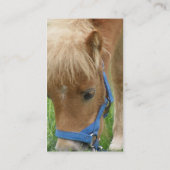 Die Shetlandinseln-Pony-Visitenkarte Visitenkarte (Rückseite)