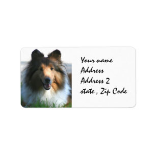 Die Shetlandinseln-Schäferhund Adressaufkleber