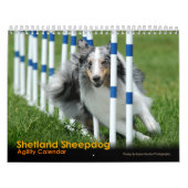 Die Shetlandinseln-Schäferhund-Agility-Kalender Kalender (Titelbild)