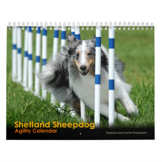 Die Shetlandinseln-Schäferhund-Agility-Kalender Kalender