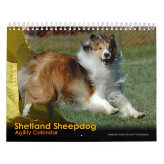 Die Shetlandinseln-Schäferhund-Agility-Kalender Kalender