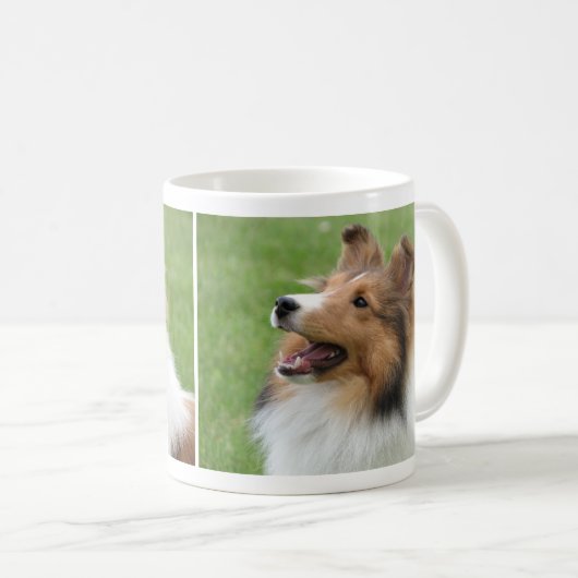 Die Shetlandinseln-Schäferhund auf Tasse (VorderseiteRechts)