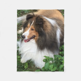 Die Shetlandinseln-Schäferhund-Decke Fleecedecke