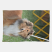 Die Shetlandinseln-Schäferhund Küchentuch (Horizontal)