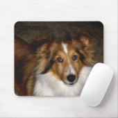 Die Shetlandinseln-Schäferhund ~ Sheltie Mousepad (Mit Mouse)