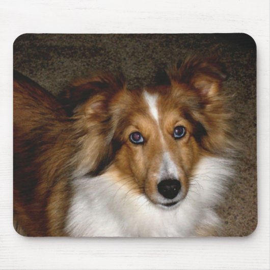Die Shetlandinseln-Schäferhund ~ Sheltie Mousepad (Vorne)