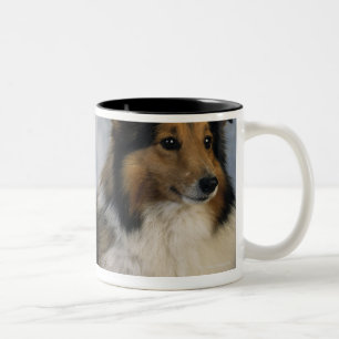 Die Shetlandinseln-Schäferhunde Zweifarbige Tasse