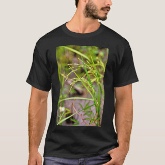 Die sich entwickelnde Ähre des Reises, ein Symbol T-Shirt