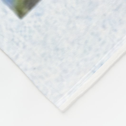 DIE SICHERE FAMILIENANLEITUNG FÜR GUNS FLEECEDECKE (Ecke)