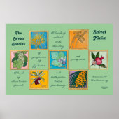 Die sieben Arten oder der Shivat Minim Poster (Vorne)