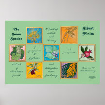 Die sieben Arten oder der Shivat Minim