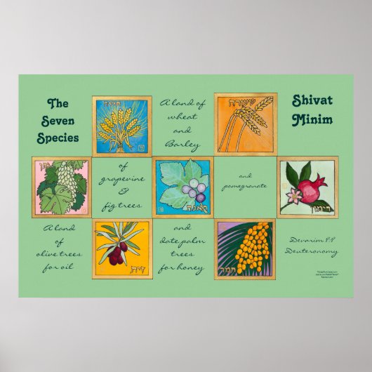 Die sieben Arten oder der Shivat Minim Poster (Vorne)