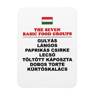 Die sieben Grundnahrungsmittelgruppen Lustige Unga Magnet