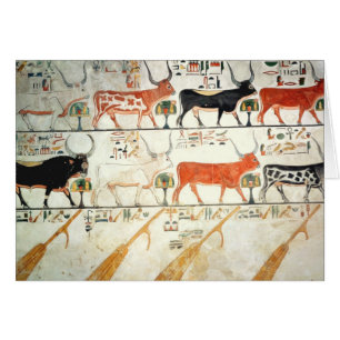 Die sieben himmlischen Kühe und der heilige Stier