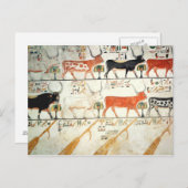 Die sieben himmlischen Kühe und der heilige Stier Postkarte (Vorne/Hinten)