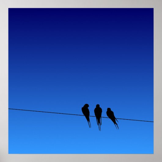 Die Silhouette der blühenden Schwarzvögel auf Wire Poster (Vorne)
