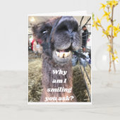 DIE SIND ETWAS ZÄHNLICH!! HAPPY BIRTHDAY KARTE (Gelbe Blume)