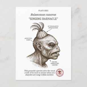 Die Singing Barnacle - Biologie Lovecraftian Feiertagspostkarte
