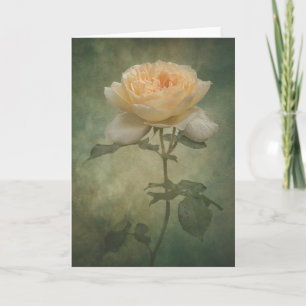 Die Single-Rose-Karte Karte